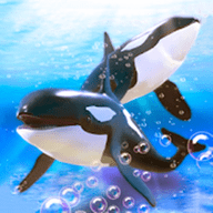 鲸鱼生存大作战 1.0 安卓版