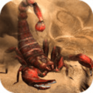 蝎子生存模拟 1.0 安卓版