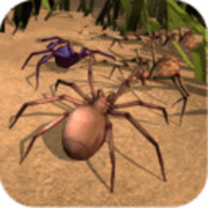 消灭蜘蛛 1.0 安卓版