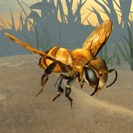 大黄蜂进化史 1.0.2 安卓版