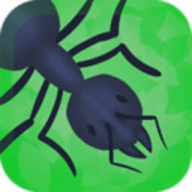 蚁群模拟 1.0.24 安卓版