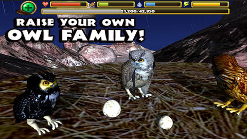 终极猫头鹰模拟器完美版 1 安卓版