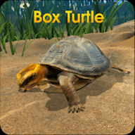 终极乌龟模拟器 1.0 安卓版