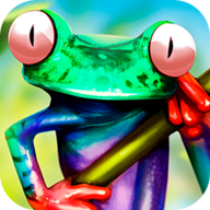 雨林青蛙生存模拟 1.0.0 安卓版