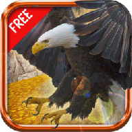 野鹰战斗幻想3D 1.0.9 安卓版