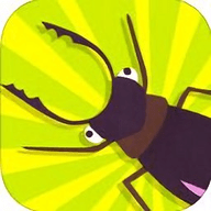 昆虫识别软件 2.1 安卓版