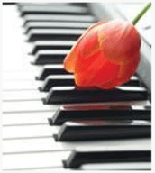 極品鋼琴5.0無廣告版 5.0 安卓版