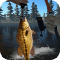 钓鱼模拟游戏 1.0 安卓版