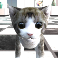 猫咪在密室游戏 0.13 安卓版