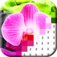 花朵着色游戏 1 安卓版