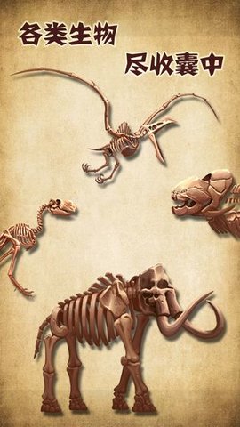 化石博物馆正式版 1.3 安卓版（Museum）