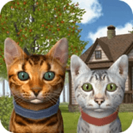 猫咪生存模拟器正版 1.0.4 安卓版
