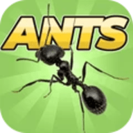 口袋蚂蚁手机版 0.0591 安卓版