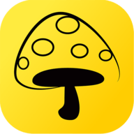 蘑菇丁app 3.3.5 安卓版
