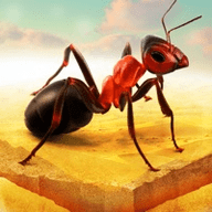 抖音蚂蚁搬食物的游戏 2.0 安卓版