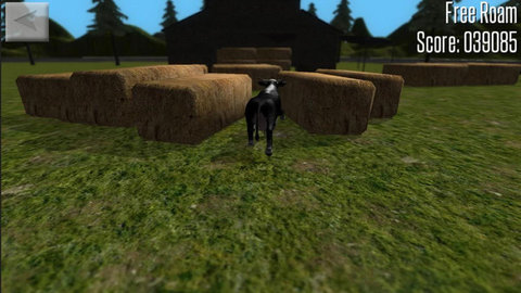 疯狂的牛模拟器 1.0 安卓版