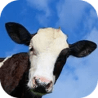 疯狂奶牛模拟器 1.0 安卓版