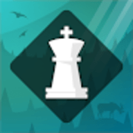 芒努斯教你国际象棋 A2.0.1 安卓版