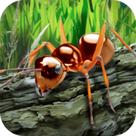 蚂蚁生存模拟器破解版 1.1 安卓版