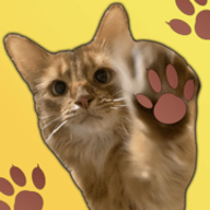 猫咪趣味表情包app 1.0 安卓版