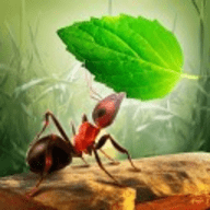 小蚂蚁部落 2.0 安卓版