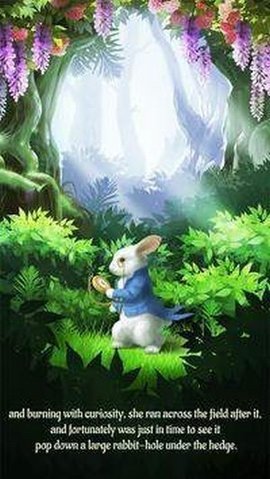 爱丽丝魔幻世界 2.4.9 安卓版