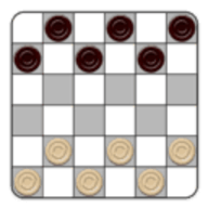 国际跳棋游戏 2.9.2 安卓版