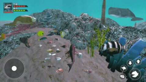 海底大求生游戏 1.0 安卓版