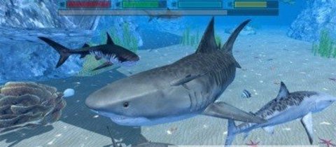 终极鲨鱼攻击 1.0.3 安卓版