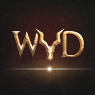 命运WYD 1.0 安卓版