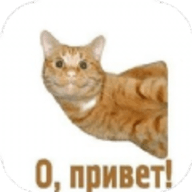 俄语助手 v1.1 安卓版
