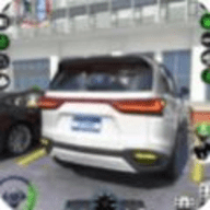 汽车驾驶学校3D（CAR_DRIVING_2023）